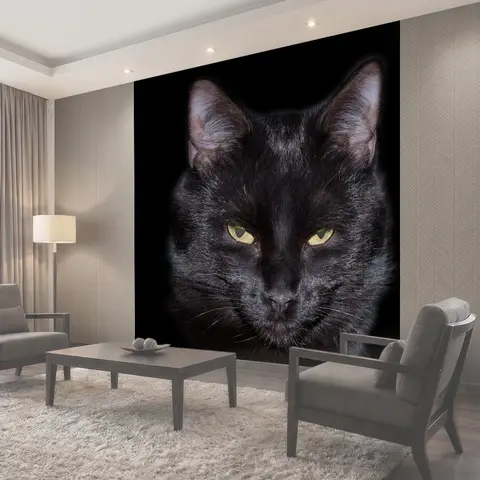 Фотообои Кошка, черный, feline