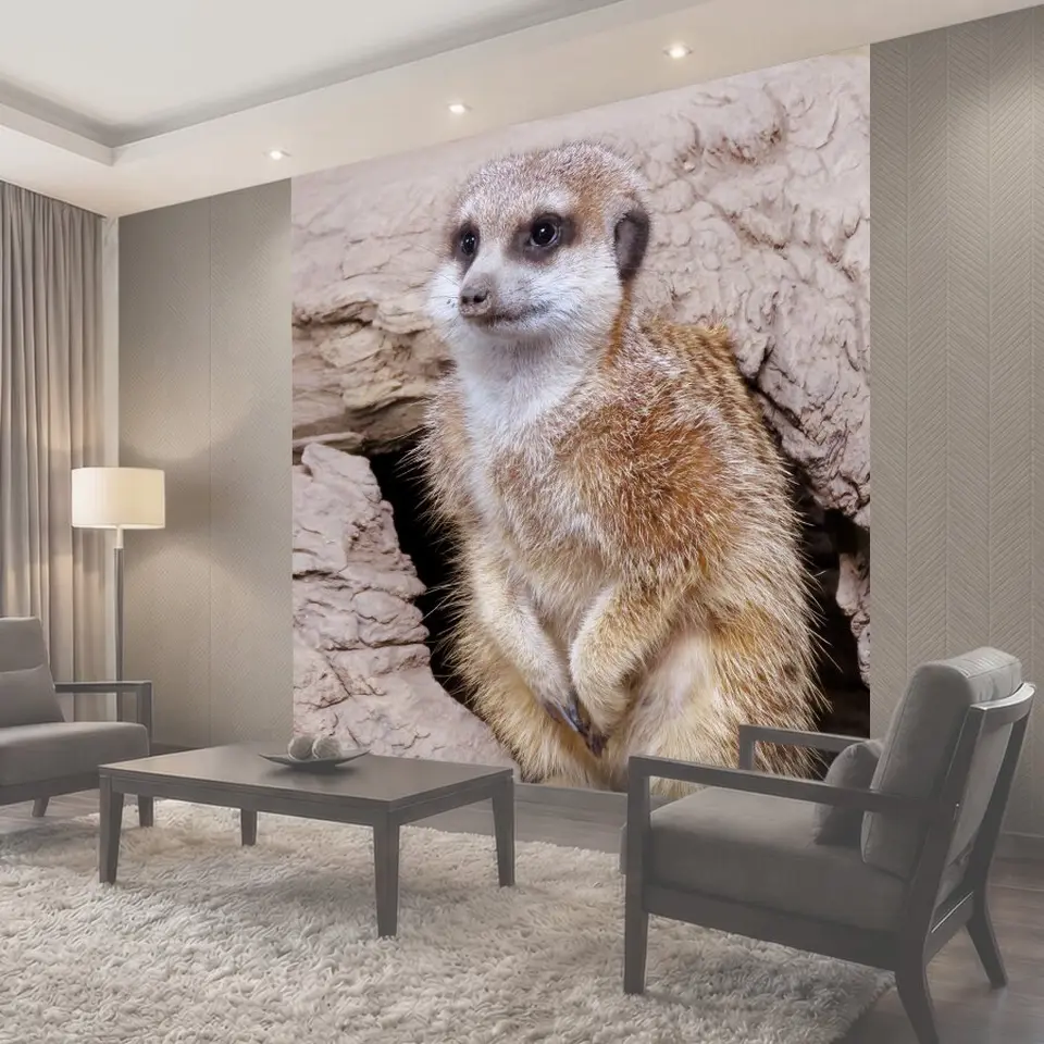 Фотообои Сурикат, мангуста, зоопарк калгари