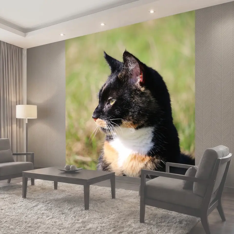 Фотообои Кот, lucky cat, триколор