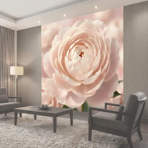 Фотообои Нежный розовый цветок крупным планом