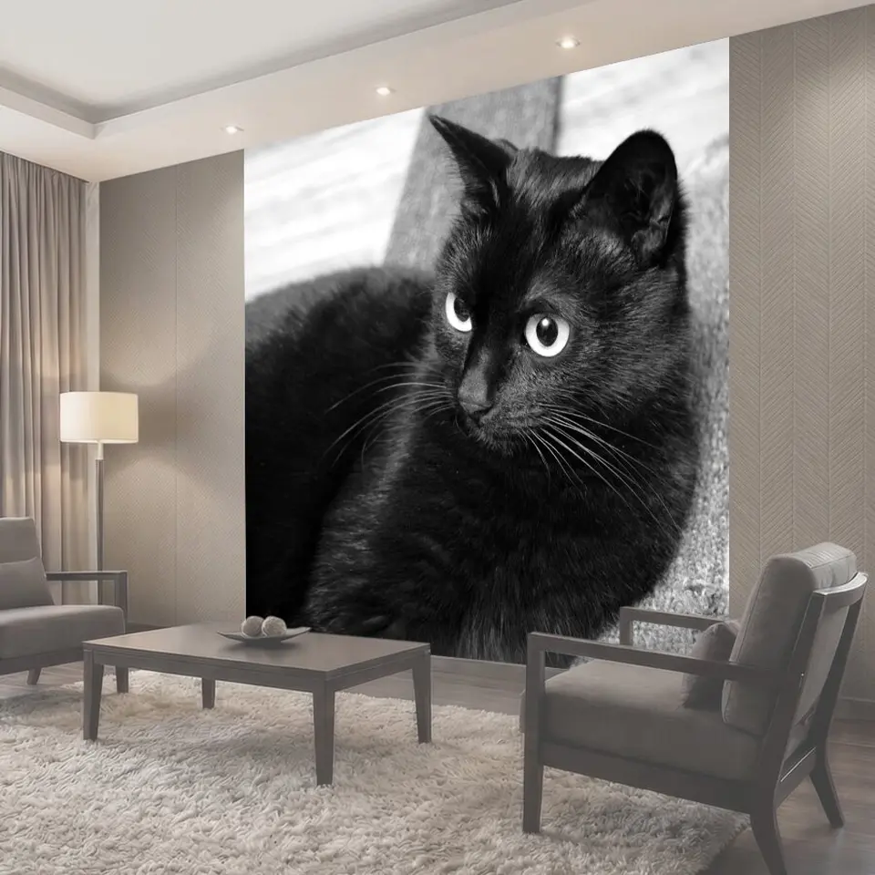 Фотообои Кот, черный кот, взгляд
