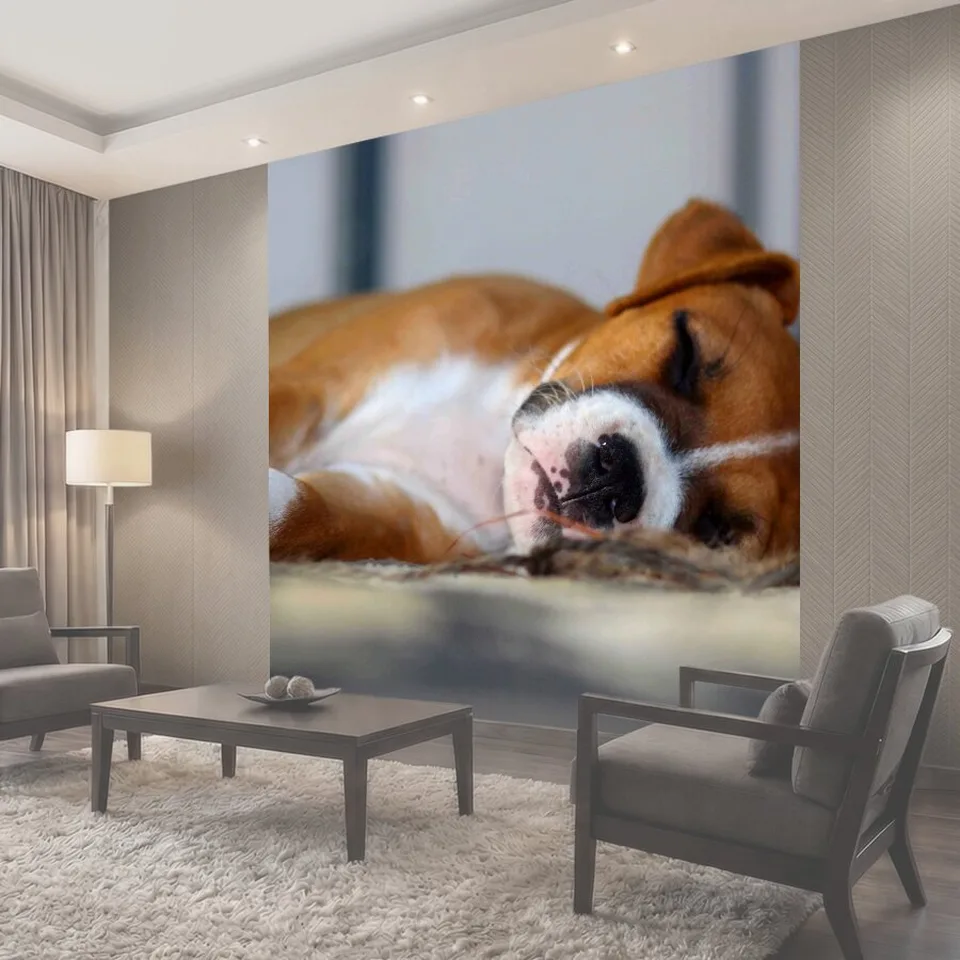 Фотообои Спящая Boxer Puppy Боксер Щенок Спящий боксер Собаки щенки Животные