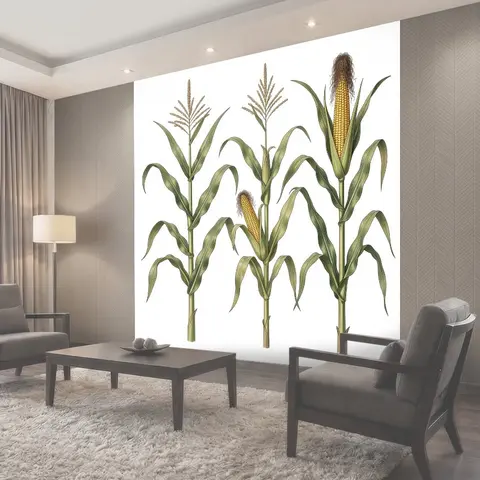 Фотообои Зрелые кукурузные початки