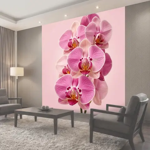 Фотообои Розовые орхидеи крупным планом