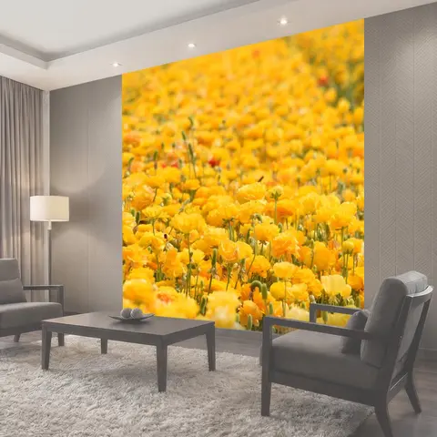 Фотообои Поле желтых цветов лютика ярко-желтые цветы выращивание