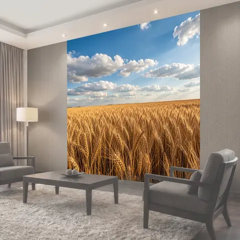 Фотообои Золотое пшеничное поле под небом