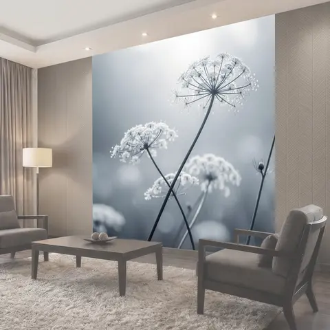 Фотообои Нежные зонтичные соцветия