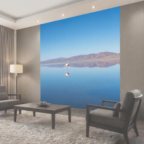 Фотообои Фламинго у зеркальной воды
