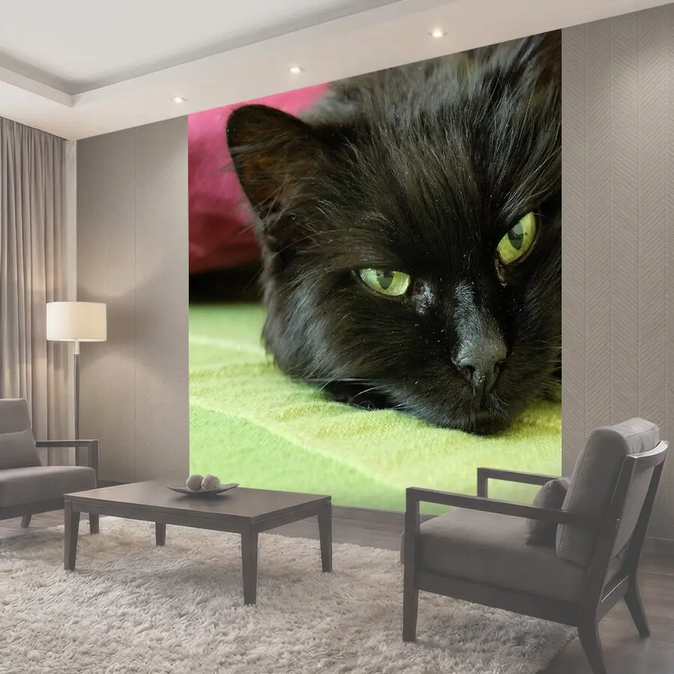 Фотообои Кот, кошачьи глаза, черный кот