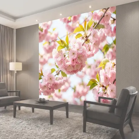Фотообои Розовые цветущие ветви сакуры