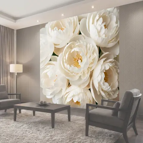 Фотообои Белые пышные цветы крупным планом