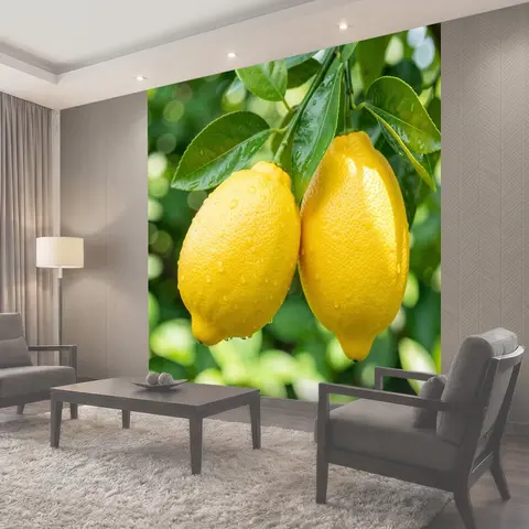 Фотообои Спелые лимоны на ветке