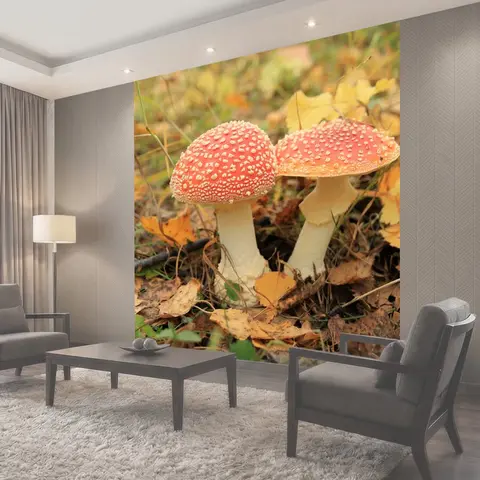 Фотообои Мухомор, гриб, леса