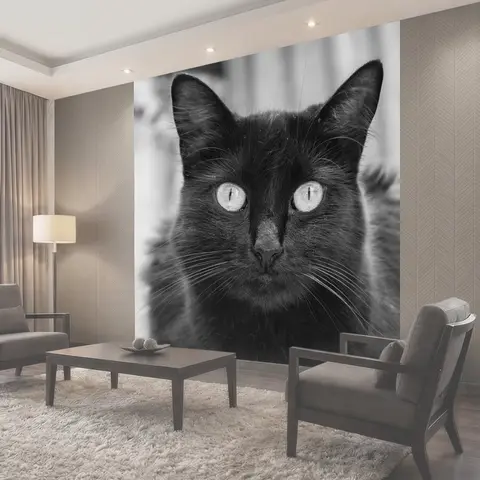Фотообои Гато, кошка, ан