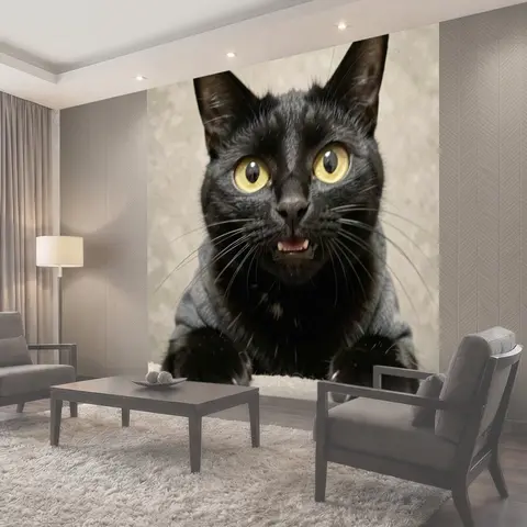 Фотообои Черный кот с удивленным взглядом