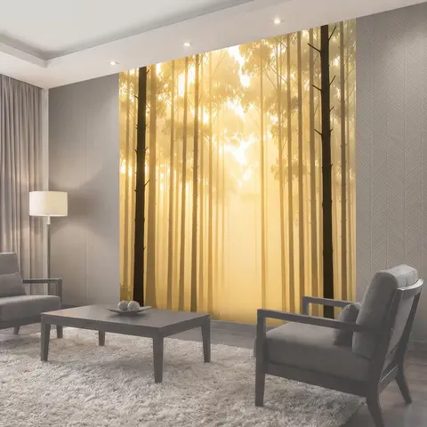 Фотообои Туманный лес на рассвете