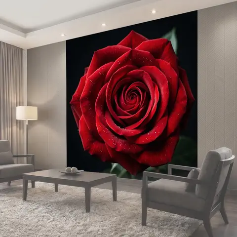 Фотообои Красная роза с каплями росы