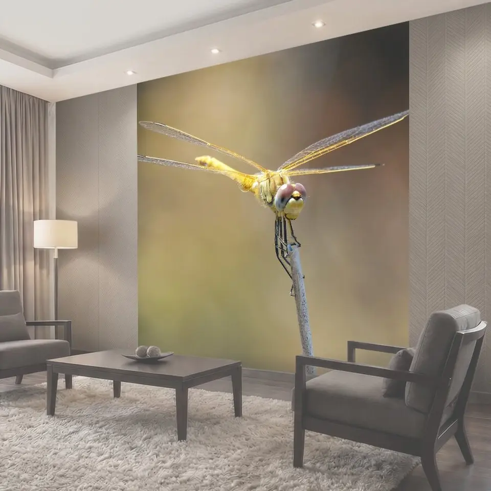 Фотообои Стрекоза, желтая стрекоза, cordulegaster boltonii