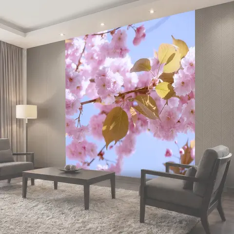 Фотообои Японская сакура, prunus serrulata, розы