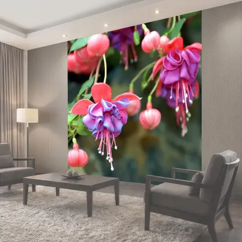 Фотообои Цветок, фуксия, расцветает