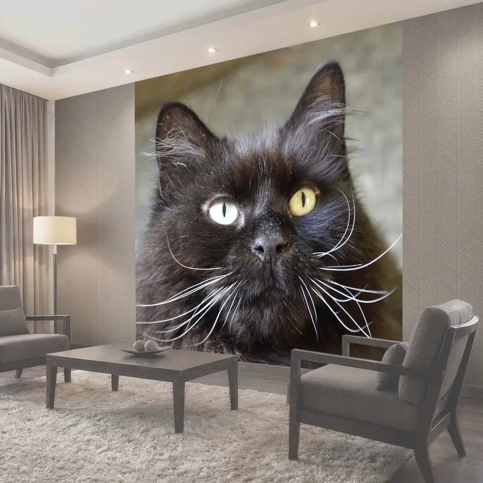Фотообои Кот, черная кошка, черный кот девушка