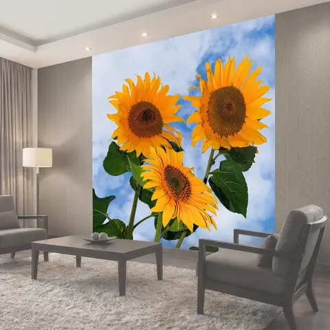 Фотообои Подсолнухи, расцветает, желтый