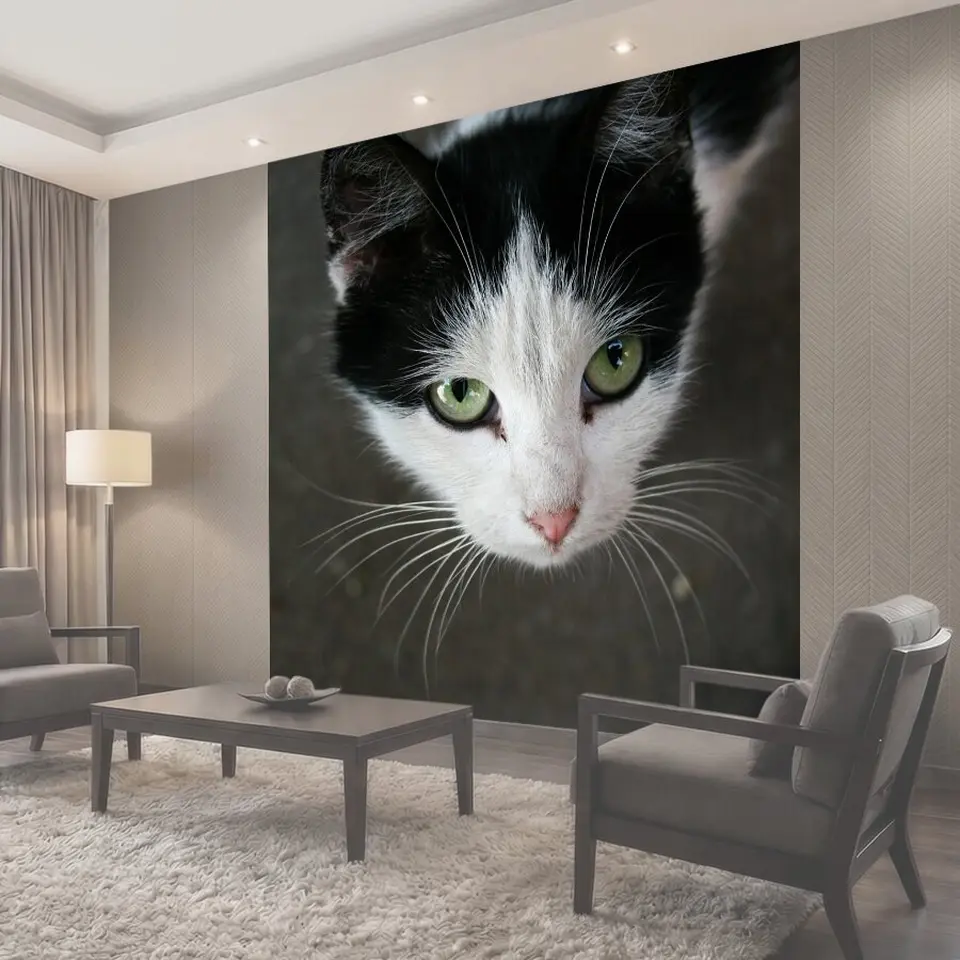Фотообои Черное и белое, кошка, домашний питомец