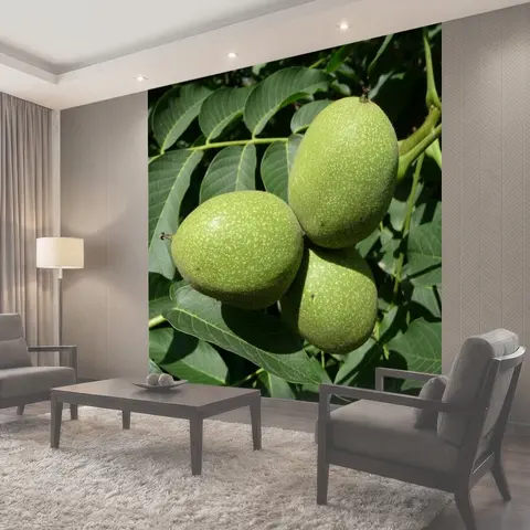 Фотообои Грецкий орех, орех, реальный орех