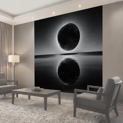 Фотообои Черный диск и его отражение
