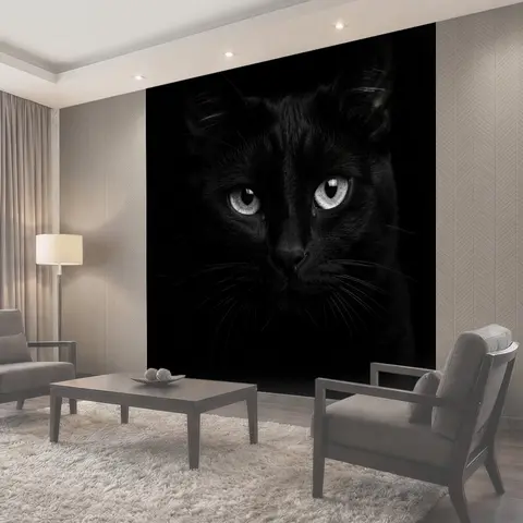 Фотообои Черный кот с серебристыми глазами