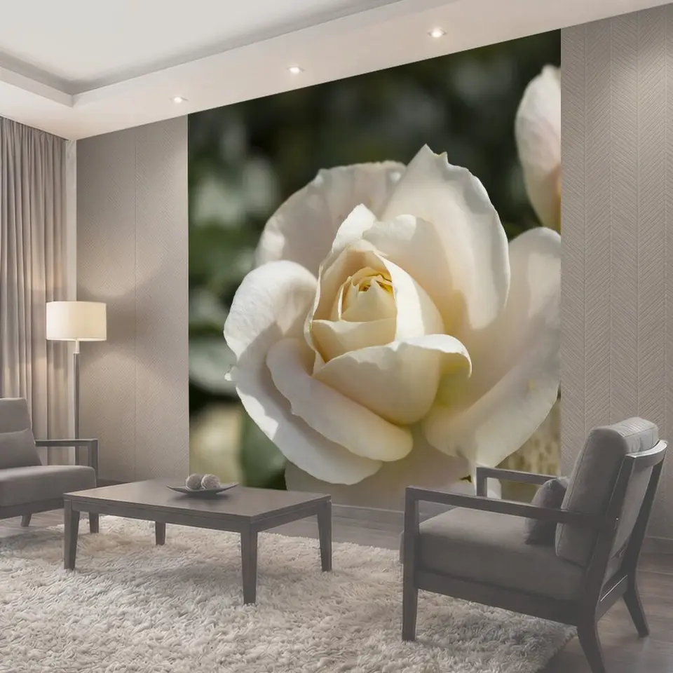Фотообои Роза, цветок, сад