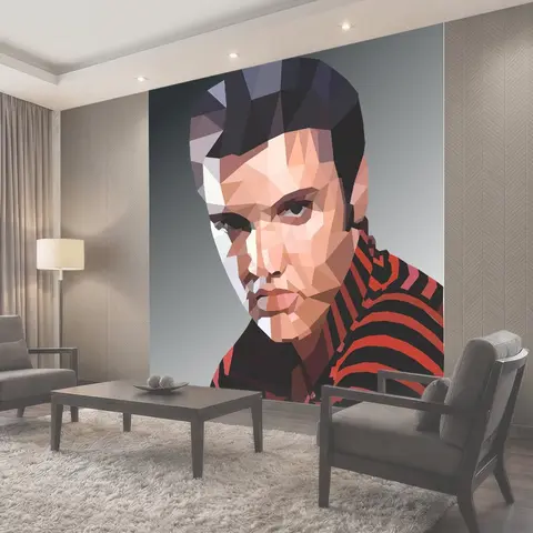 Фотообои Elvis, вектор, музыка