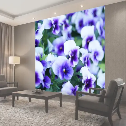 Фотообои Садовые анютины глазки, сад, цветок