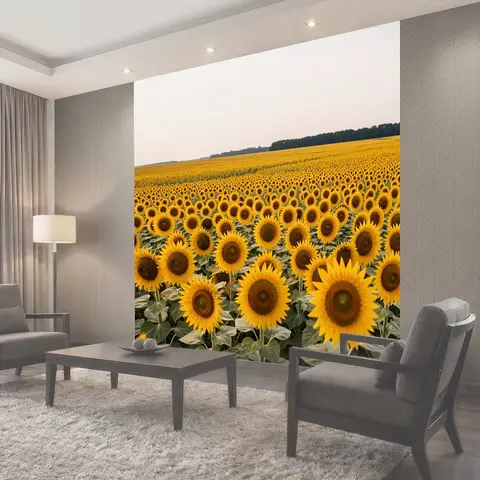 Фотообои Поле цветущих подсолнухов