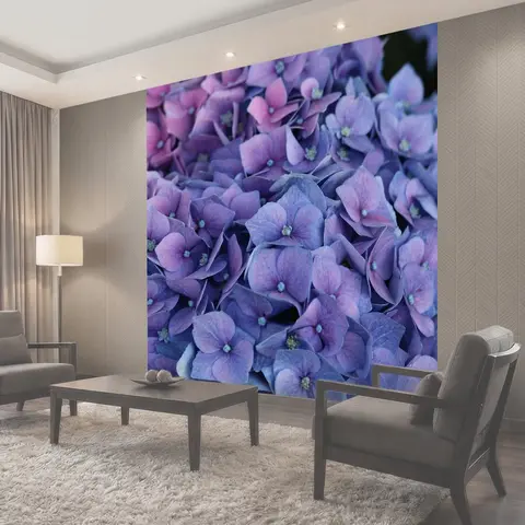 Фотообои Гортензия, цвести, синий