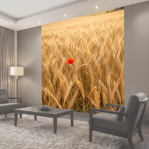 Фотообои Золотое поле с алым маком