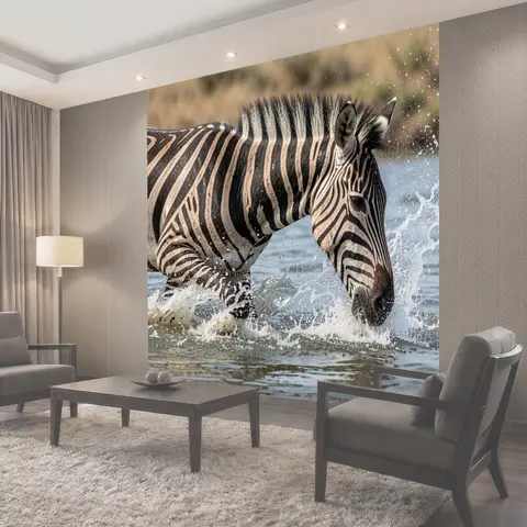 Фотообои Бегущая зебра в брызгах