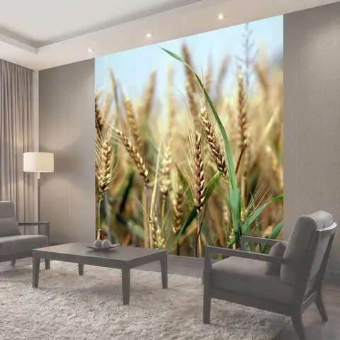 Фотообои Пшеница, пшеничное поле, кукурузное поле