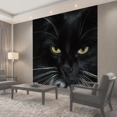 Фотообои Cat, black cat, cat's eyes