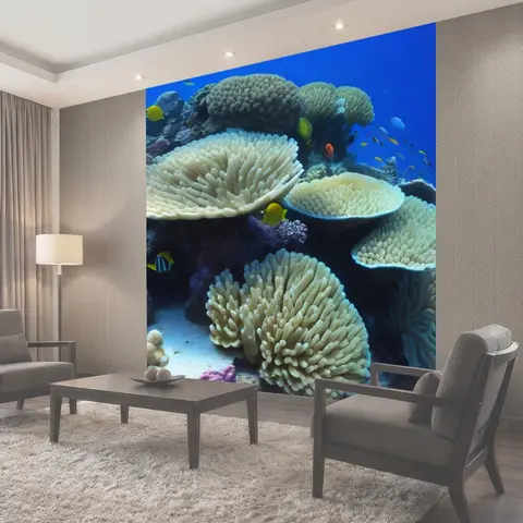 Фотообои Подводный мир с разноцветными рыбами и кораллами