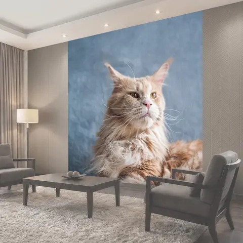 Фотообои Мейн кун, кошка, домашний питомец