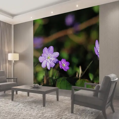 Фотообои Гепатит, печеночница нобилис, цветок весны
