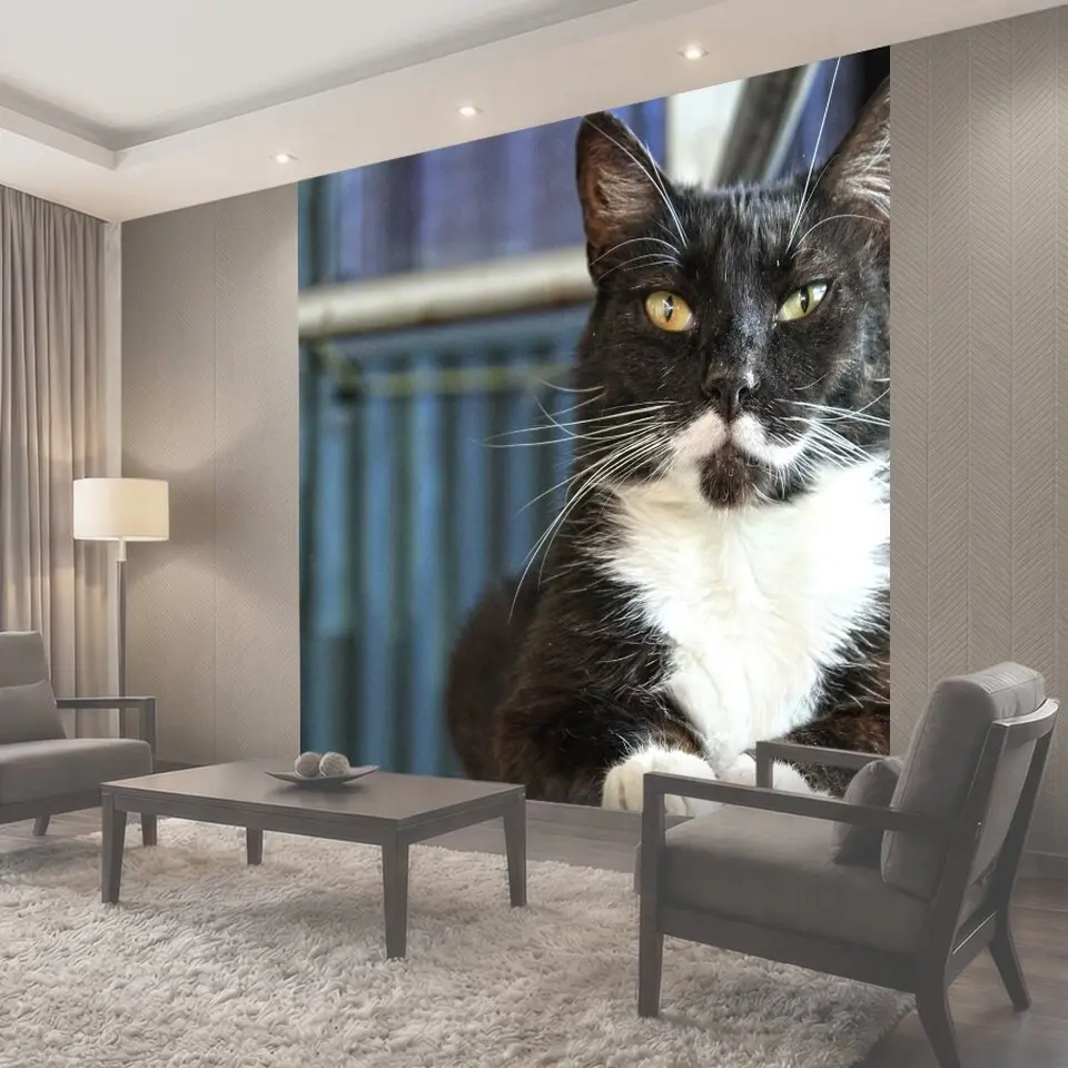 Фотообои Кот, котенок, талисман
