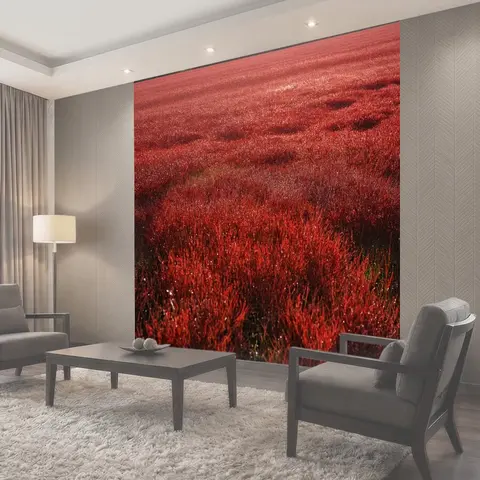 Фотообои Поле, засыпанное блестками багровой пыли, создавая ракурсы и светоотражения, придавая пространству теплоту