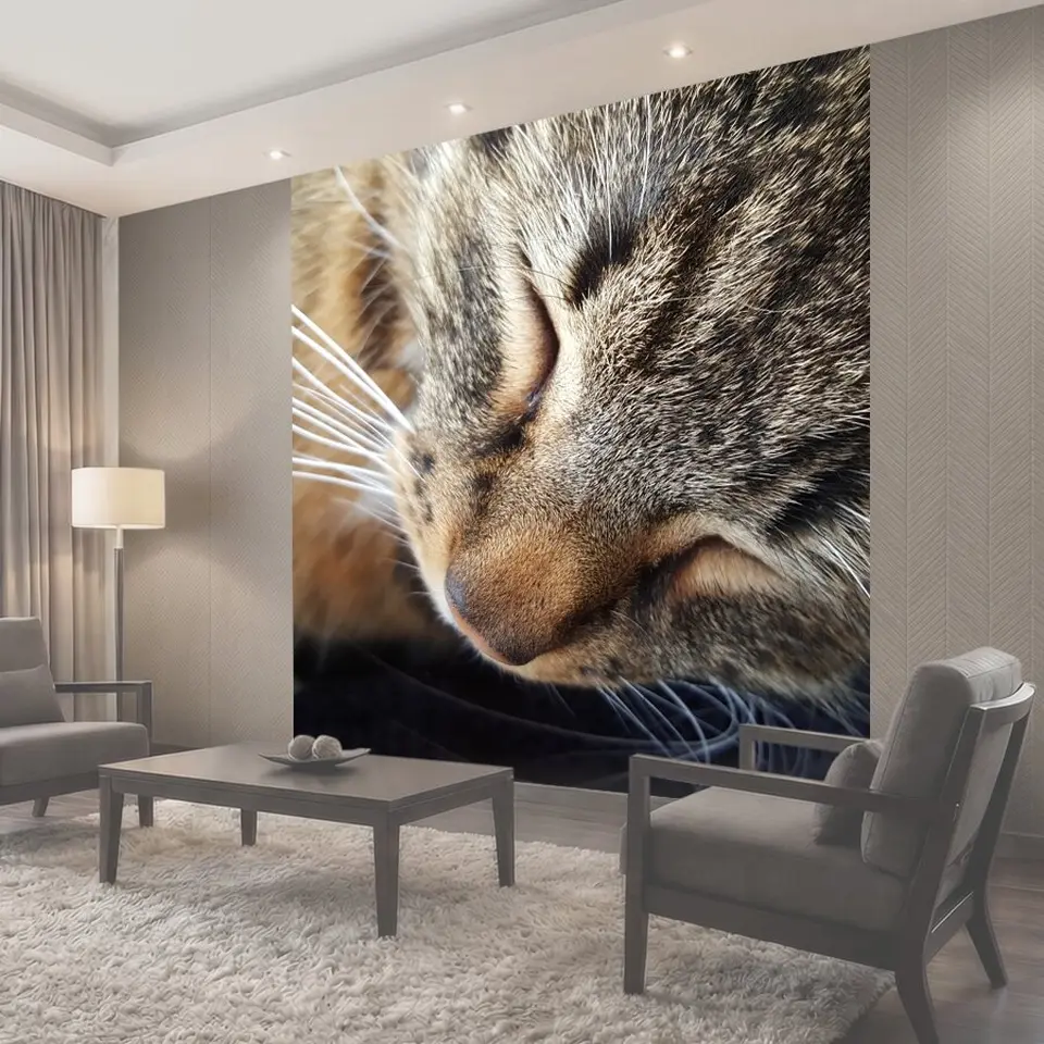 Фотообои Кошки, кошка, pet