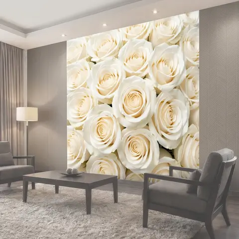 Фотообои Нежные белые розы крупным планом