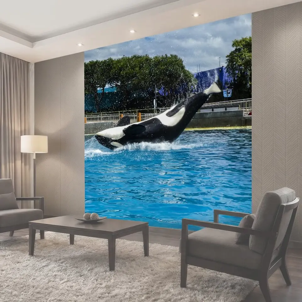 Фотообои Касатка черно-белый ORCA-кит в Sea World