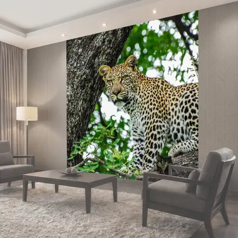 Фотообои Леопард, большие кошки, кошка