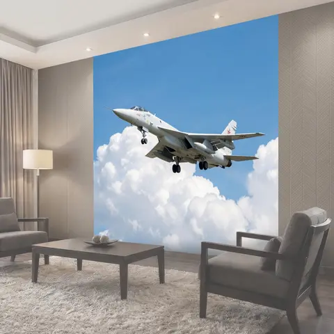 Фотообои Белый военный самолет в небе