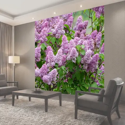 Фотообои Сирень, цветы, куст